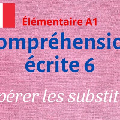 Compréhension écrite 6 : repérer des substituts