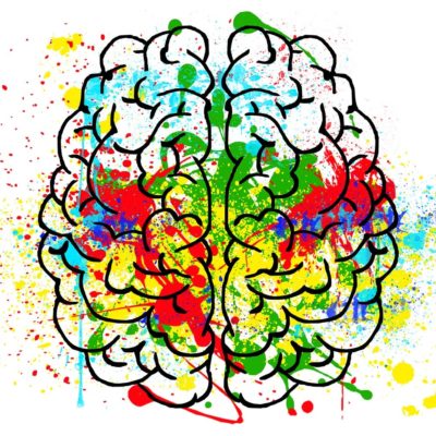 Brain plasticity in language learning