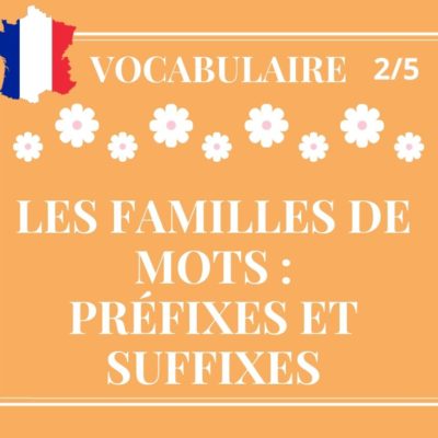 VOCABULAIRE 2/5 : les familles de mots, préfixes et suffixes