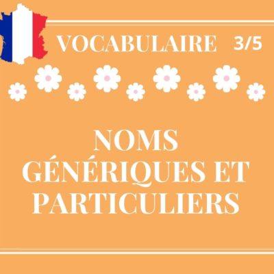 VOCABULAIRE 3/5, noms génériques et particuliers