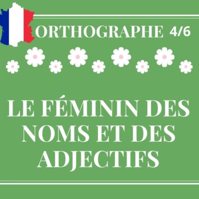 ORTHOGRAPHE 4/6 : le féminin des noms et des adjectifs