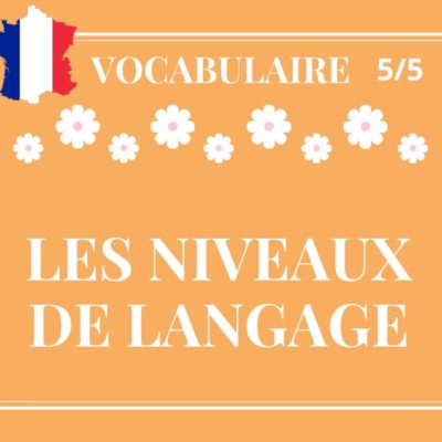 VOCABULAIRE 5/5 : les niveaux de langage